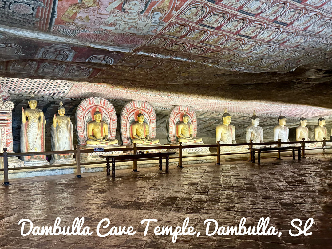 C-Lanka Tours & Travels-科伦坡必去景点