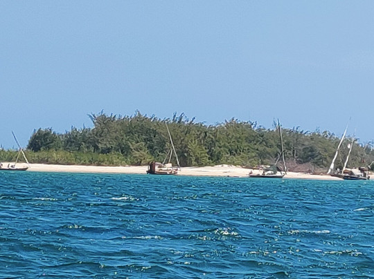 Lady Lamu Dhow-拉穆岛必去景点