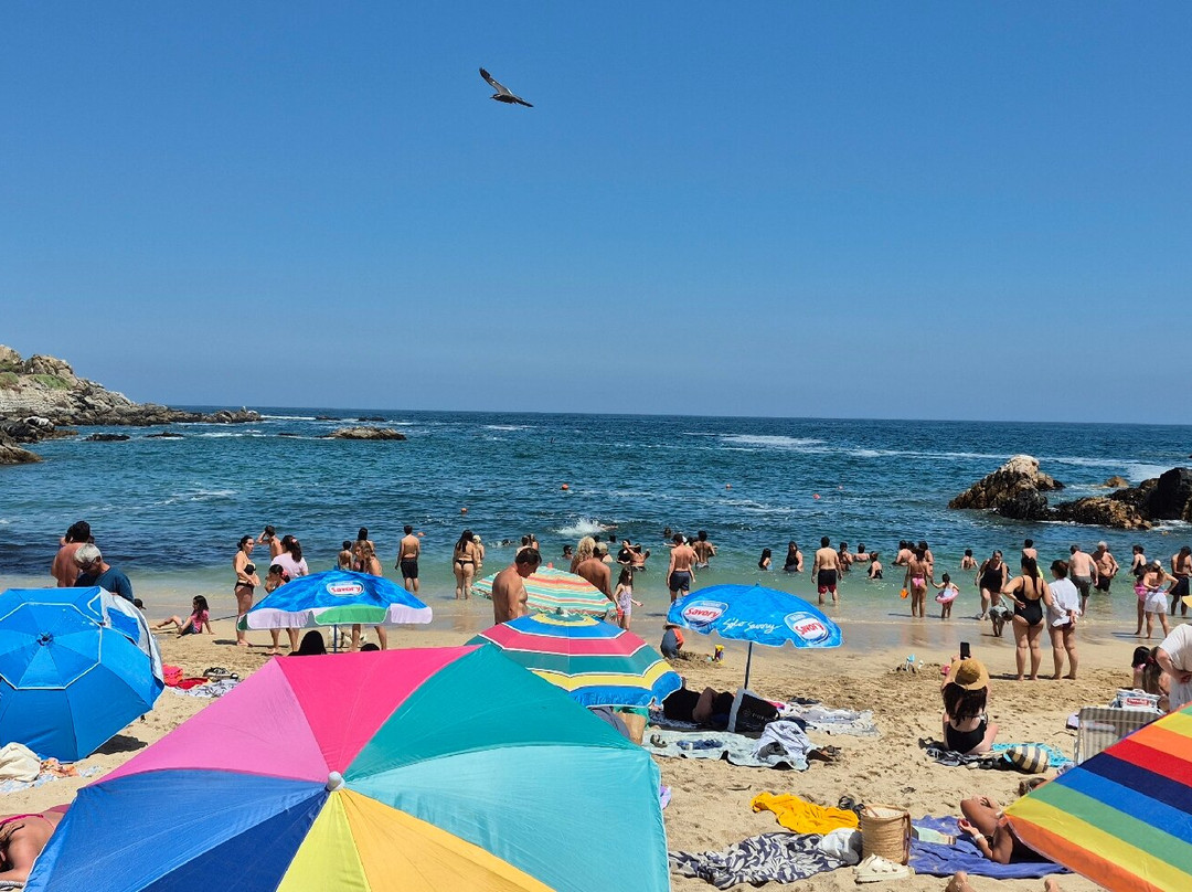 Playa Los Lilenes-Concon必去景点