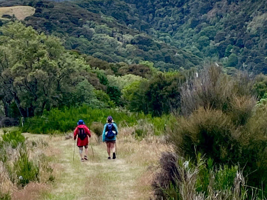 Kaikoura Coastal Track-Kaikoura必去景点