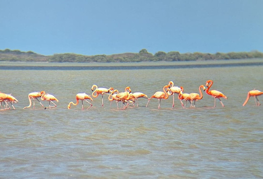 TAROA TOURS-Riohacha必去景点