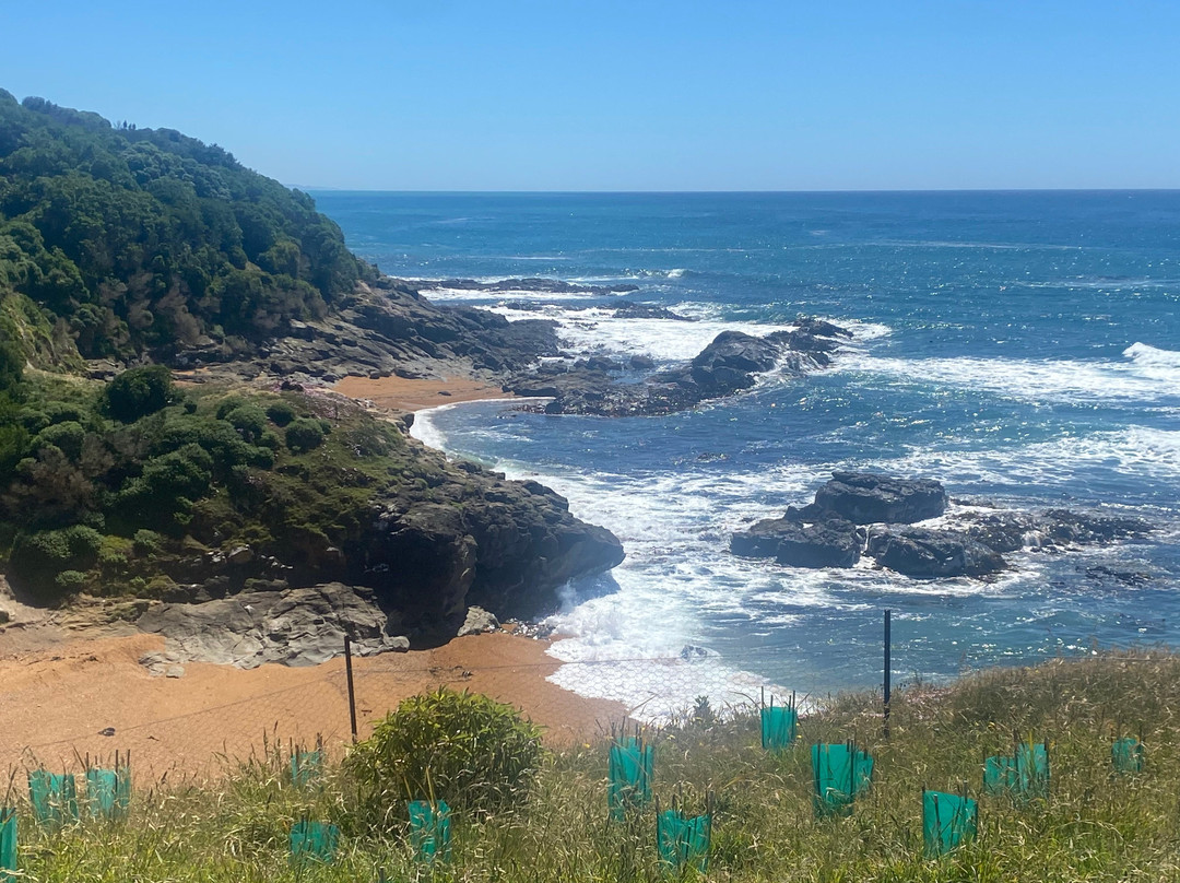 卡迪基灯塔-摩拉基必去景点