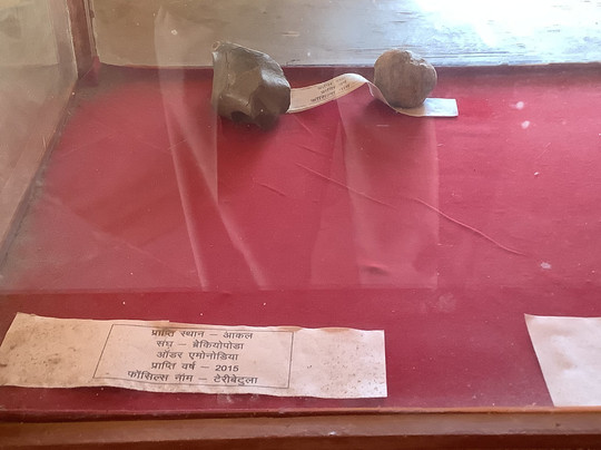 Akal Wood Fossil Park-杰伊瑟尔梅尔必去景点