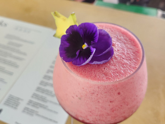 Rio Perdido-巴加塞斯區必去景点