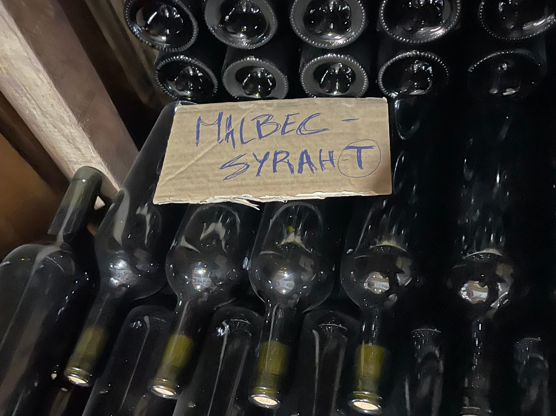 Bodega Familiar Agroecológica De La Tierrita-Eugenio Bustos必去景点