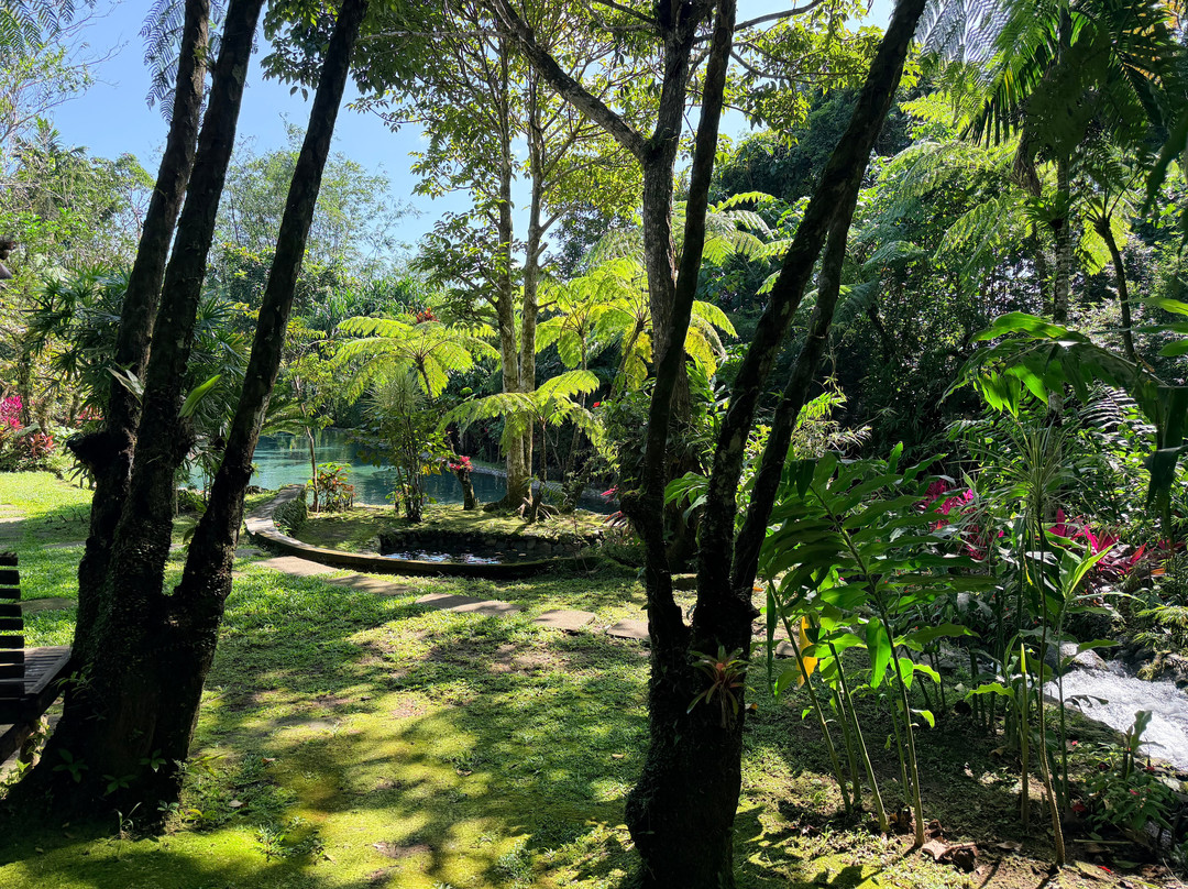 Balay Buhay Sa Uma Bee Farm-Bulusan必去景点