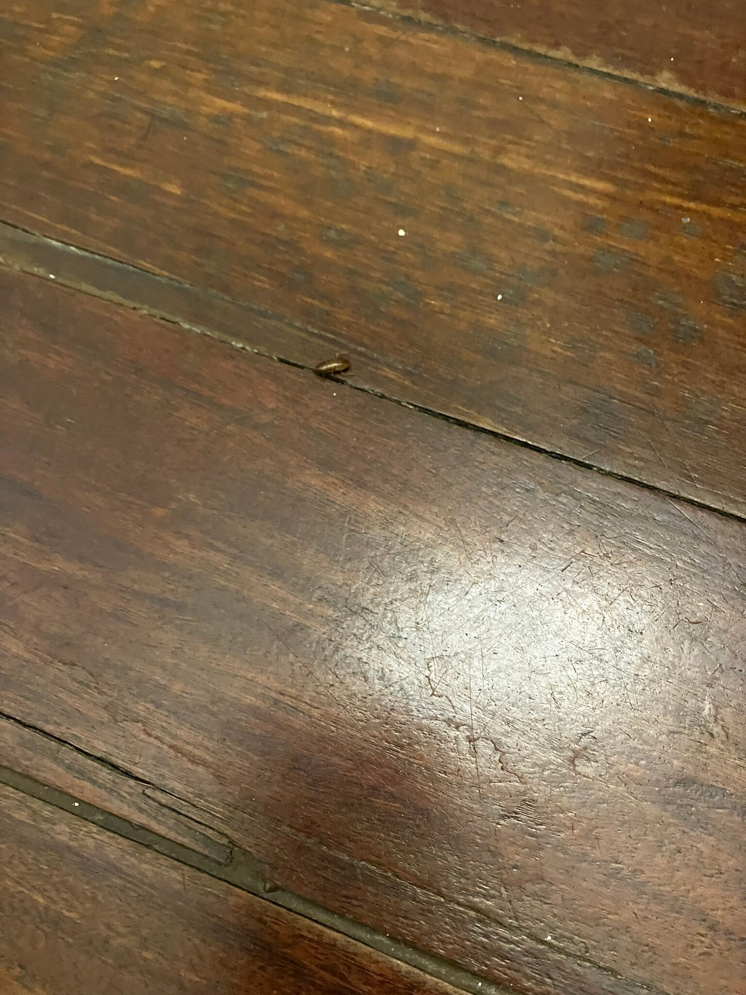 Papagayo Beach Resort-官方