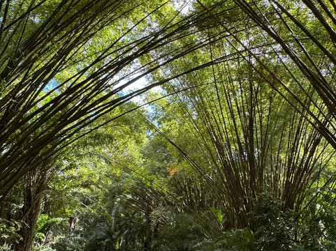 Nick Taxi Servicestt-西班牙港必去景点