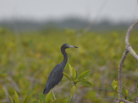 Visit Sian Ka'an-图伦必去景点