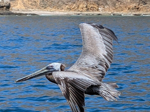 Aventuras La Plata-Puerto Lopez必去景点
