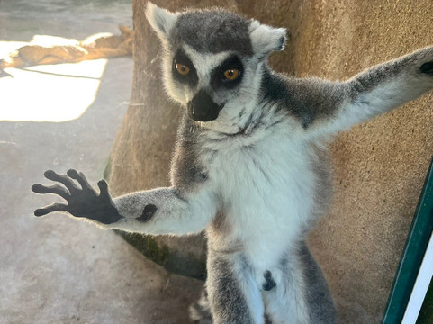 Zoologico de Vallarta-Mismaloya必去景点