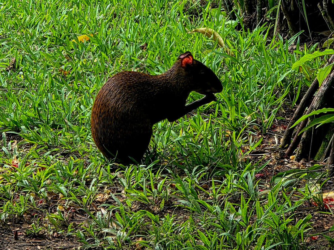 Costa Rica Decouverte-圣何塞必去景点
