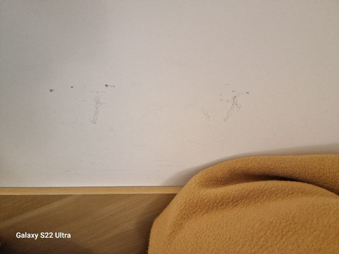 森特姆宫假日酒店主图