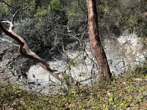 Rincon De La Vieja Volcano-Curubande必去景点