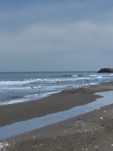 阿提克酒店-官方