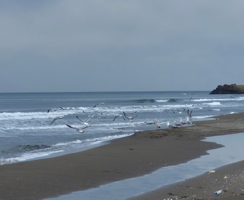 阿提克酒店主图