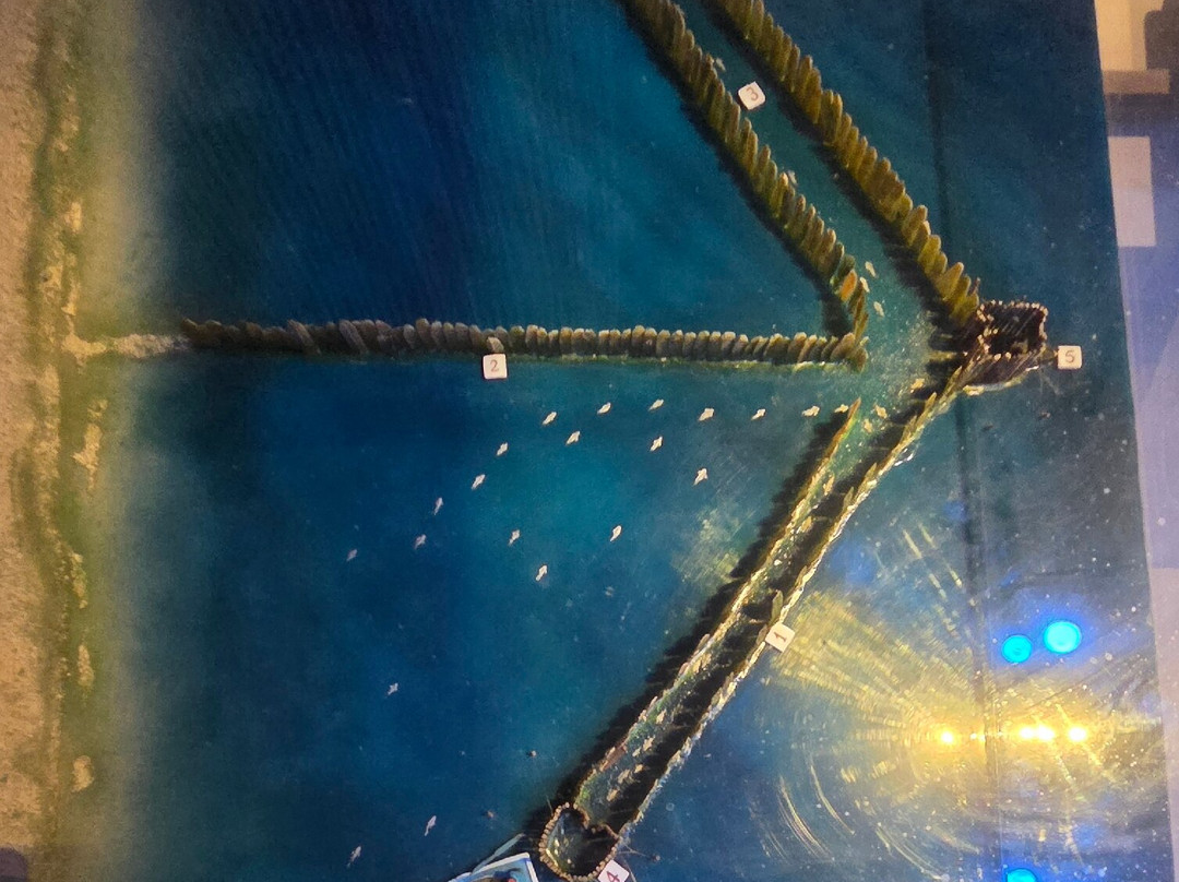 Musee du Patrimoine Traditionnel Djerbien-Houmt Souk必去景点