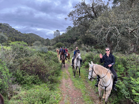 Horses in the Sun-Aljezur必去景点