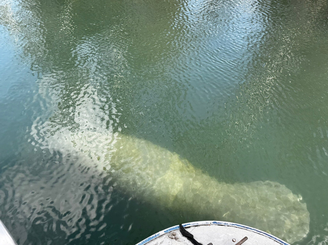 Family Adventure Charters-克里斯特尔里弗必去景点
