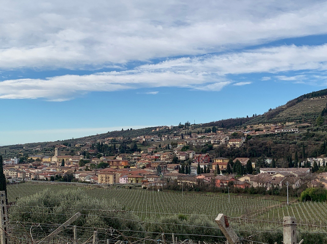 Fratelli Vogadori-Negrar di Valpolicella必去景点