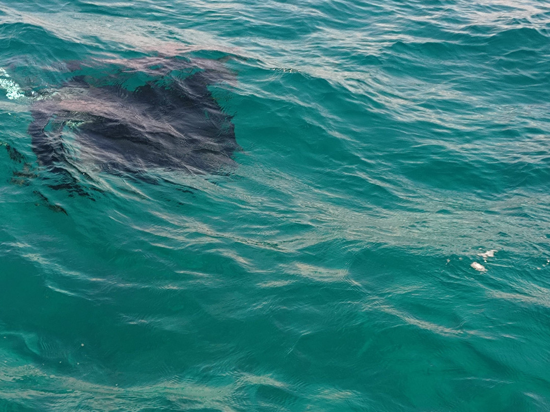 Euro-Divers Eri Maldives-马累北环礁必去景点