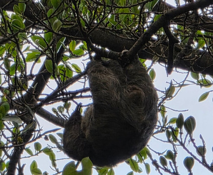 Oropopo Experience-圣何塞必去景点