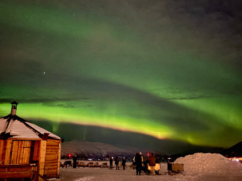 北极驯鹿体验之旅－一日游-特罗姆瑟必去景点
