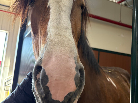 Warm Springs Ranch-Boonville必去景点