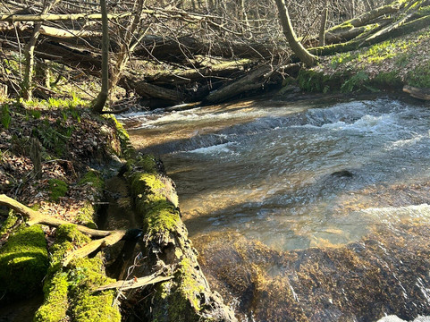 Dunino Den-圣安德鲁斯必去景点