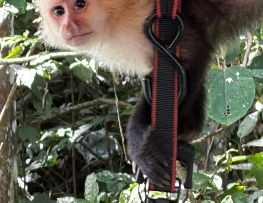 Almiza Tours by My friend Mario-巴拿马城必去景点