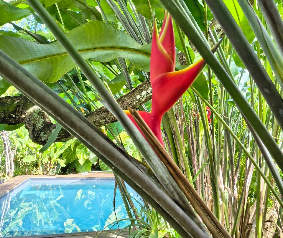 Aponi Massages Bien-être Et Spa-Goyave必去景点