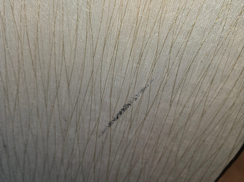 卡马蒙兰纳度假村主图