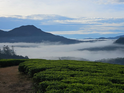 Sri Lanka Driver Hire-科伦坡必去景点
