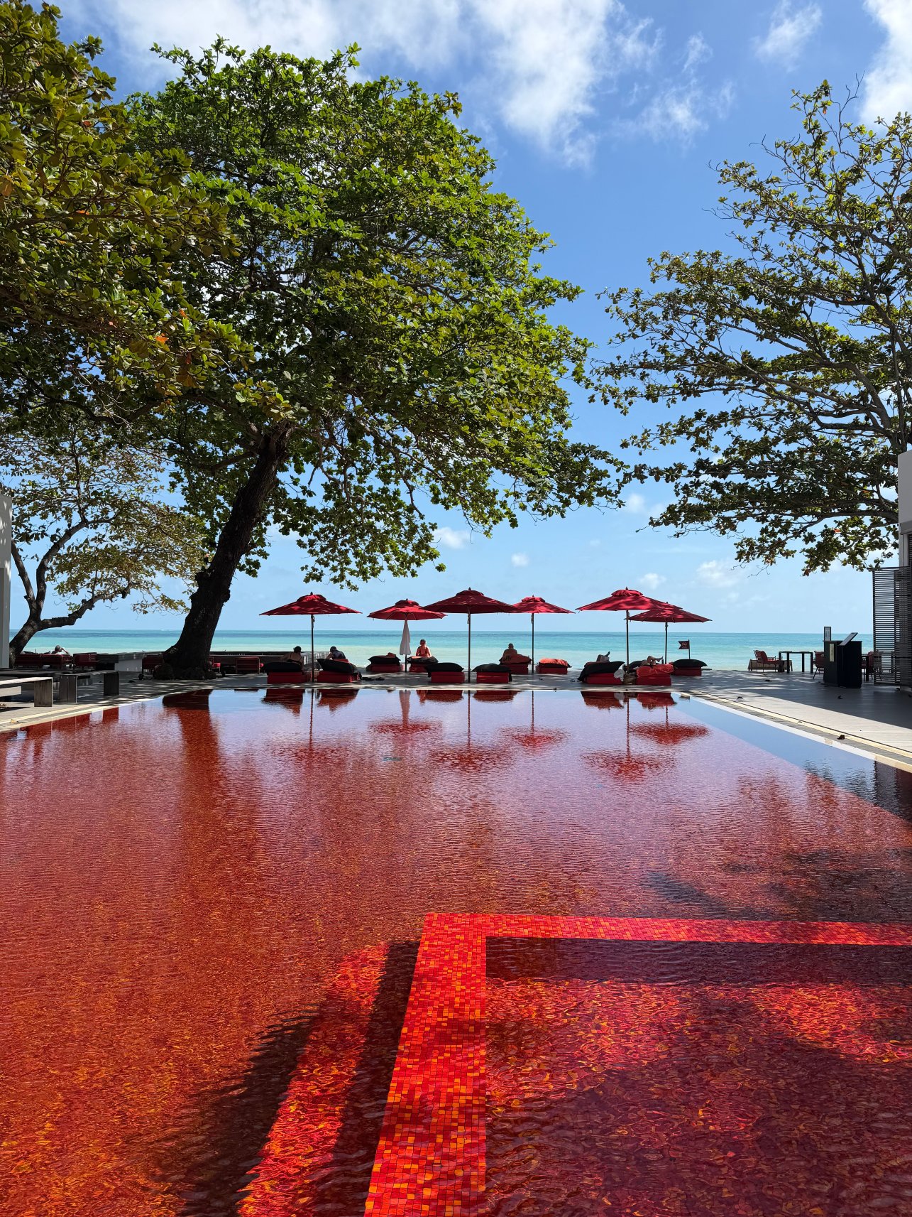 苏梅岛图书馆秘密泳池别墅-泳池