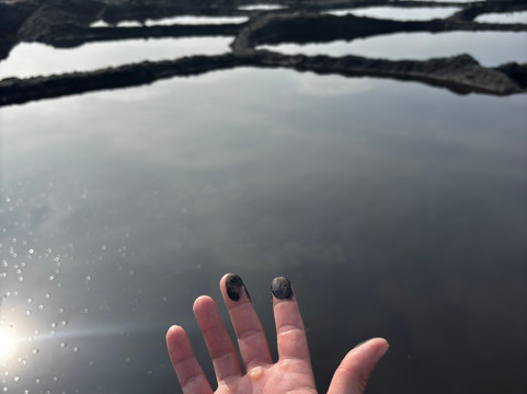 Gorilla Safaris Uganda-坎帕拉必去景点