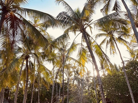 Vipingo Ridge-Kilifi必去景点