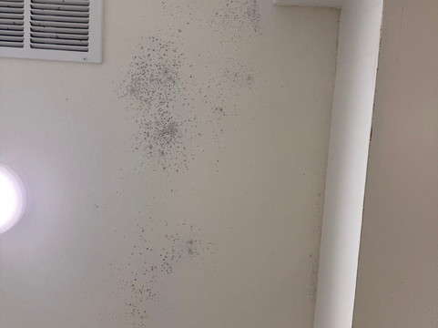 泰勒南欢朋套房酒店主图