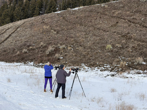 Lamar Valley Touring-加德纳必去景点