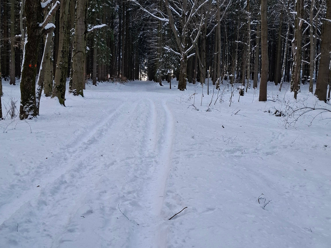 沃尔兹罗森公园酒店主图