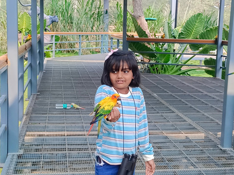 Trichy Birds Park-Tiruchirappalli District必去景点