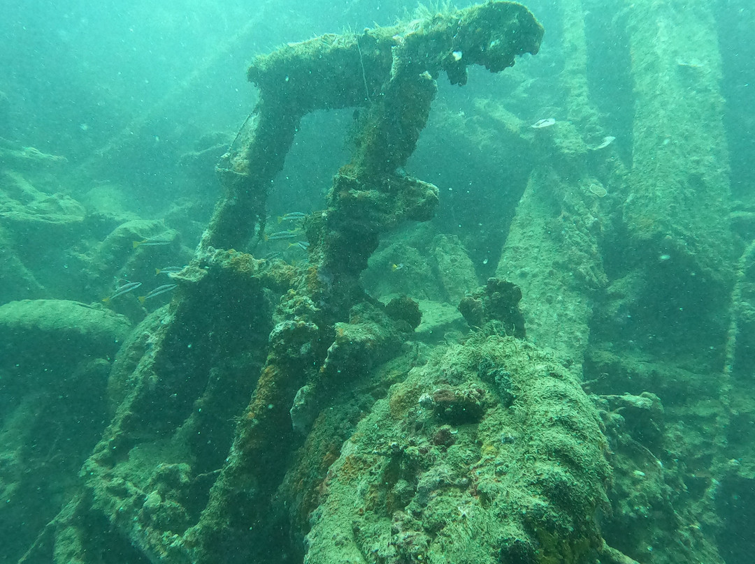 Pacific Dive-卢甘维尔必去景点