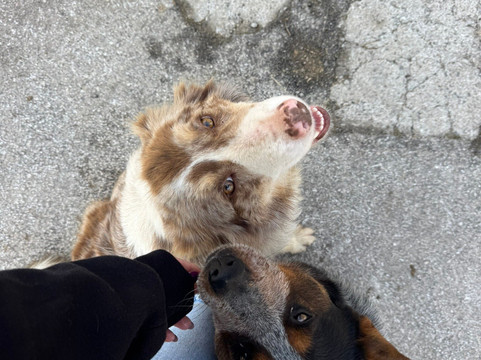 Rutas a Caballo El Dorado-Soto de Cangas必去景点