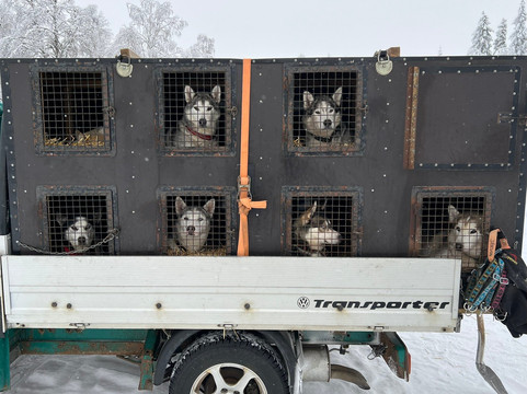 Arthotel Tornedalen主图