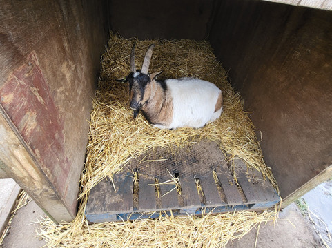 The Web Adventure Park-Wigginton必去景点