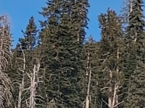 Arizona Snowbowl-弗拉格斯塔夫必去景点