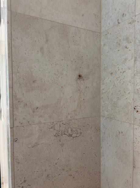 金普顿EPIC酒店-官方