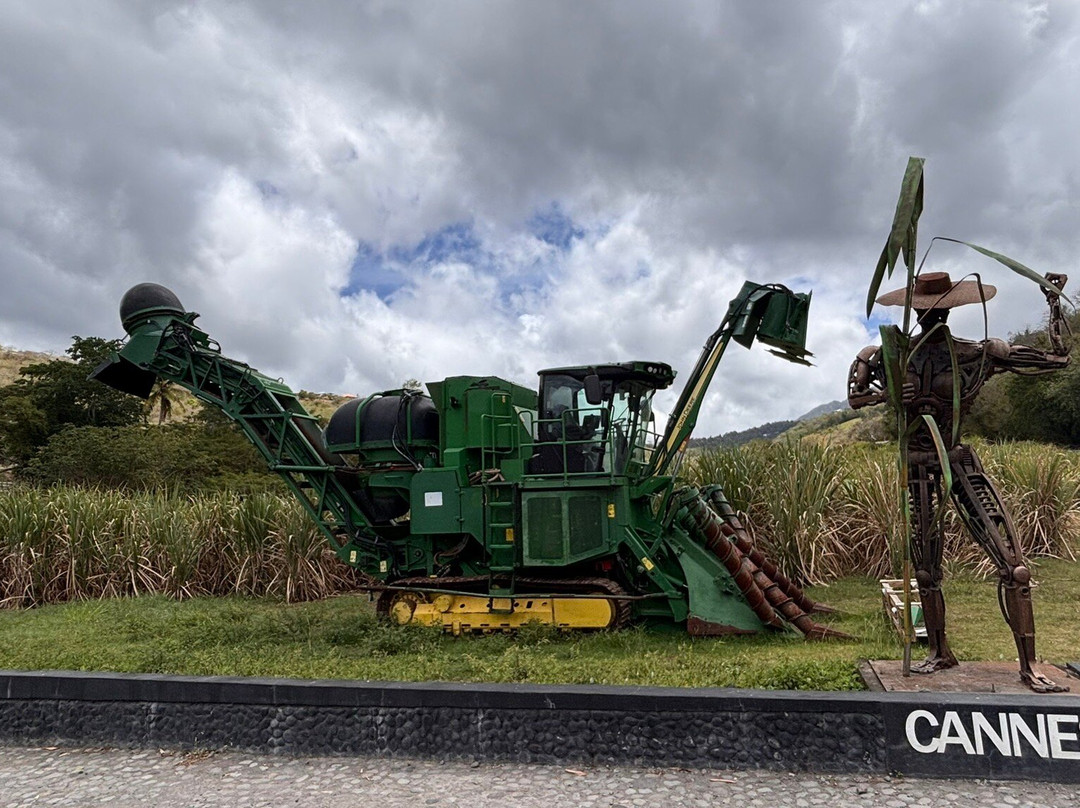 Neisson Distillery (Distillerie Neisson)-马提尼克必去景点