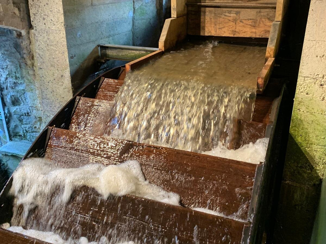 The Town Mill-莱姆里杰斯必去景点