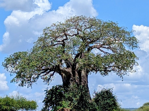 Msafiri Tanzania-莫西必去景点