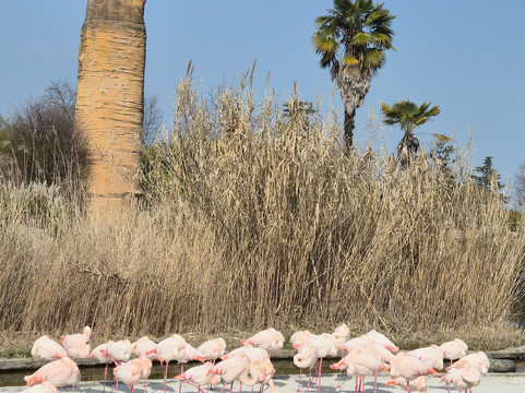 Zoom Torino-Cumiana必去景点